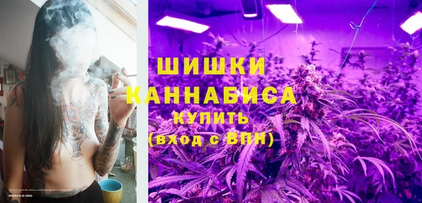 spice Козельск