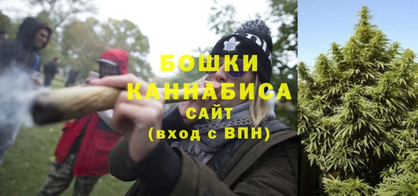 mix Кодинск