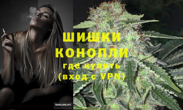 spice Козельск